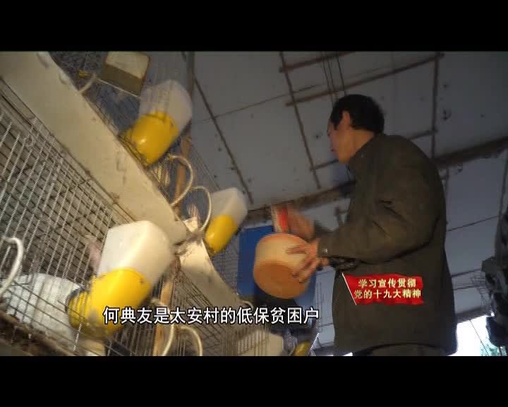 20180117第815期